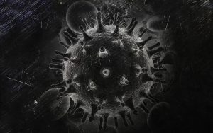 Human Immunodeficiency Virus (test potwierdzenia Western-Blot), HIV Western-Blot
