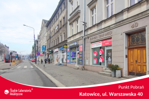 Badania analityczne Katowice