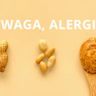Alergia