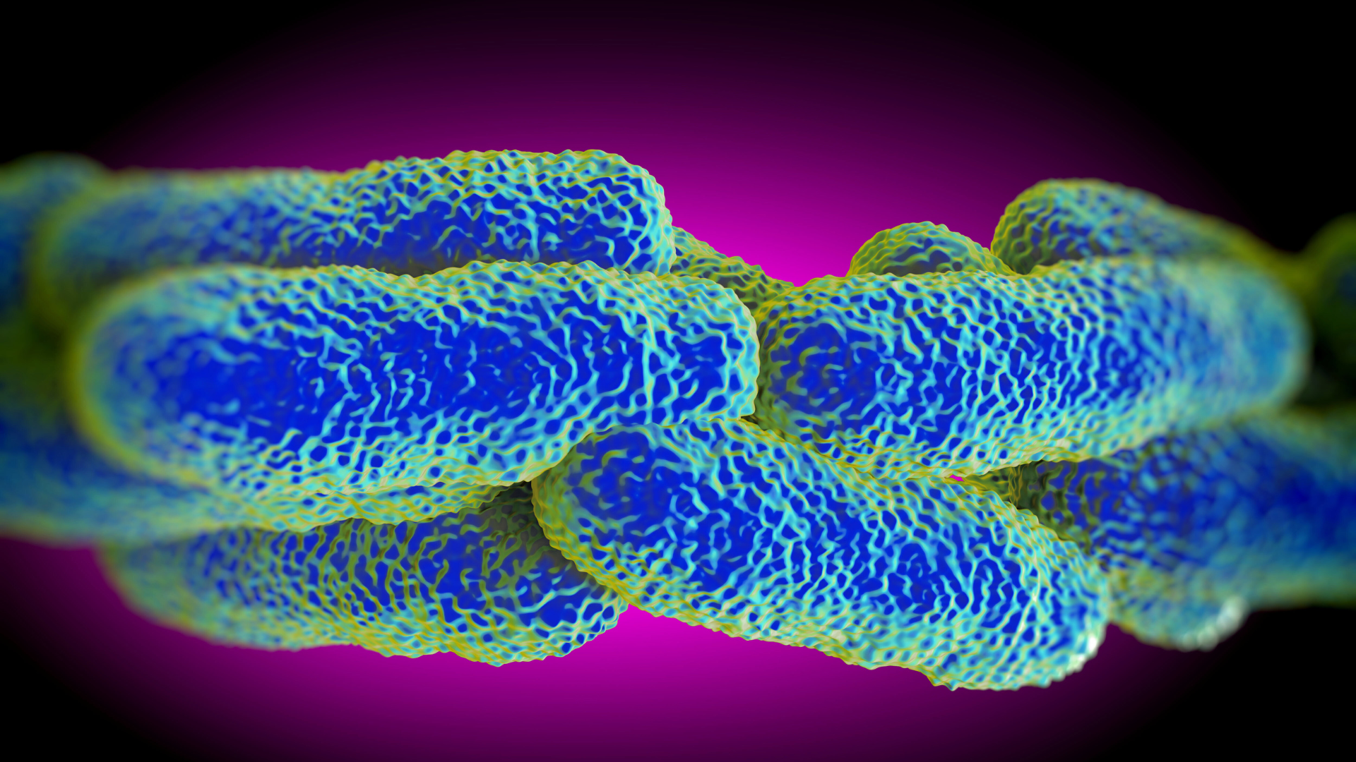 Bakteria Legionella pneumophila – przyczyny, objawy i leczenie